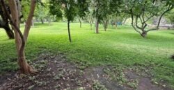 Fixer Upper, San Cristóbal Lakefront