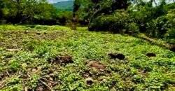 Tlachichilco Lakefront