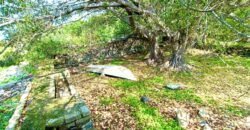 Tlachichilco Lakefront