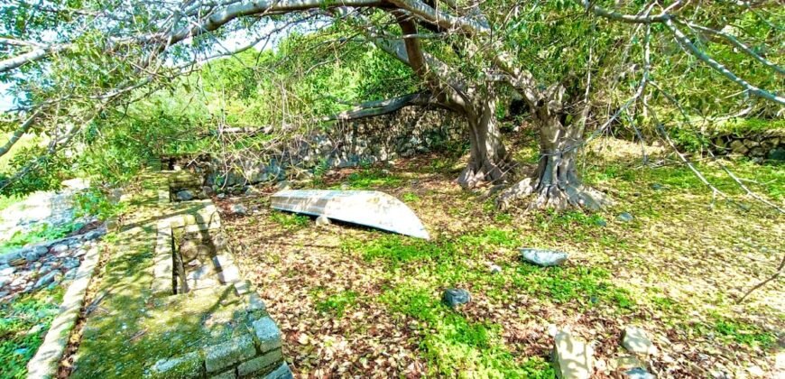 Tlachichilco Lakefront