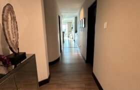 DEPARTAMENTO EN RENTA EN LOMAS DEL SOL