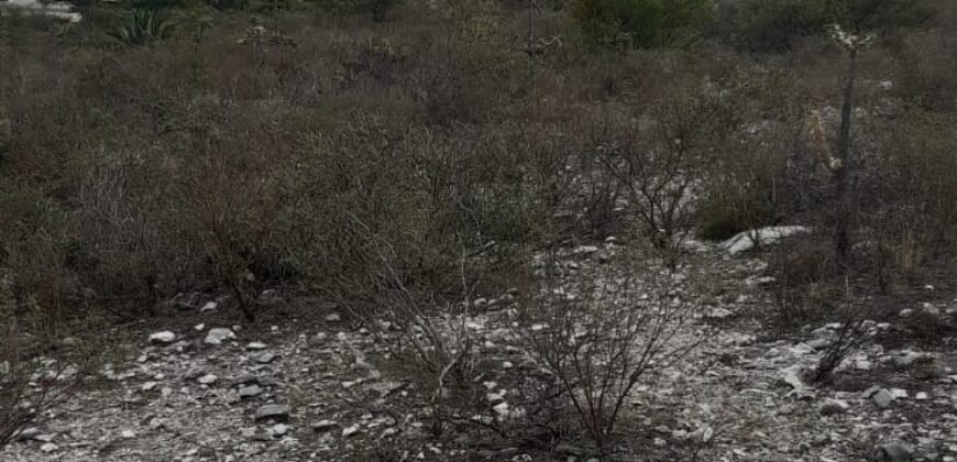 🏞️ ¡OPORTUNIDAD ÚNICA PARA INVERSIONISTAS Y CONSTRUCTORES! 🏞️