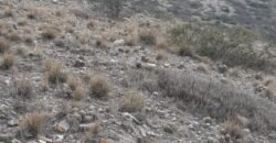 🏞️ ¡OPORTUNIDAD ÚNICA PARA INVERSIONISTAS Y CONSTRUCTORES! 🏞️