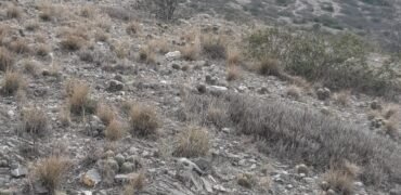 🏞️ ¡OPORTUNIDAD ÚNICA PARA INVERSIONISTAS Y CONSTRUCTORES! 🏞️