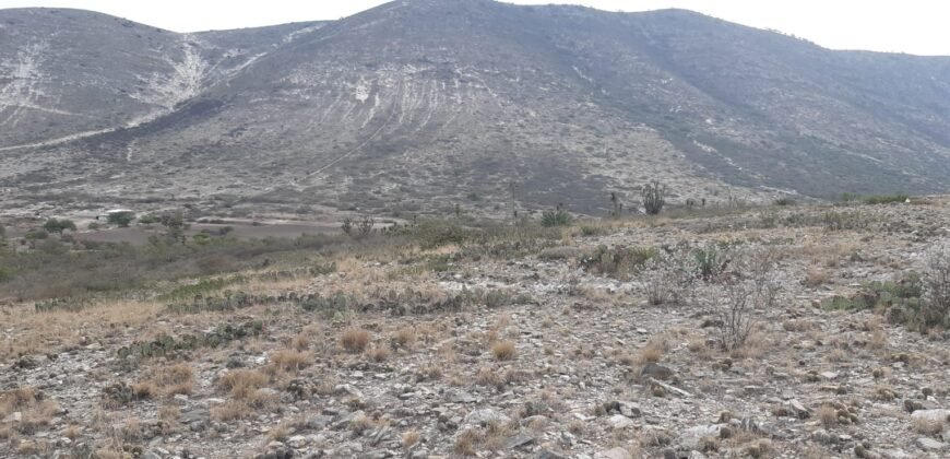 🏞️ ¡OPORTUNIDAD ÚNICA PARA INVERSIONISTAS Y CONSTRUCTORES! 🏞️