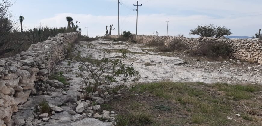 🏞️ ¡OPORTUNIDAD ÚNICA PARA INVERSIONISTAS Y CONSTRUCTORES! 🏞️