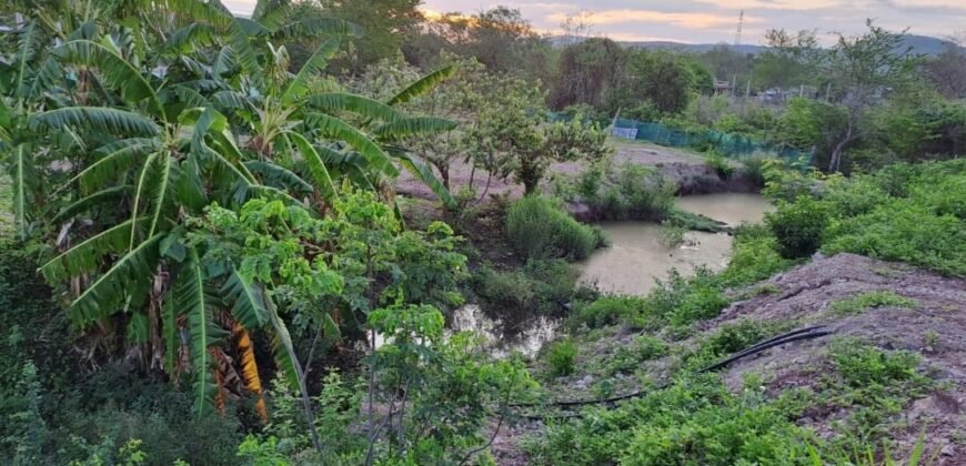 Se vende Casa Campestre a 10 min de Mazatlán 4 recámaras, comodidades de ciudad y detalles de lujo, con granja orgánica autosustentable. $7.900,000 pesos mexicanos.
