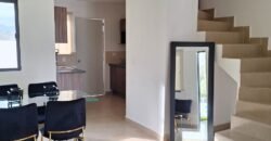 Fraccionamiento Los Pilares — Casas en San Luis Potosí