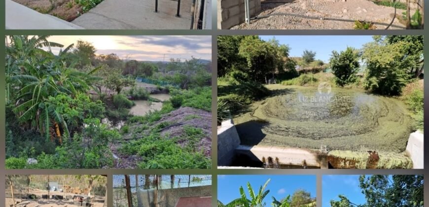 Se vende Casa Campestre a 10 min de Mazatlán 4 recámaras, comodidades de ciudad y detalles de lujo, con granja orgánica autosustentable. $7.900,000 pesos mexicanos.