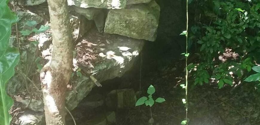 Terreno en venta | CARRETERA A CANCÚN | ENTREGA INMEDIATA