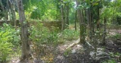 Terreno en venta | CARRETERA A CANCÚN | ENTREGA INMEDIATA