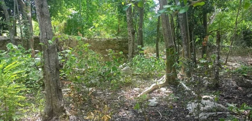 Terreno en venta | CARRETERA A CANCÚN | ENTREGA INMEDIATA