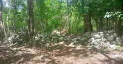 Terreno en venta | CARRETERA A CANCÚN | ENTREGA INMEDIATA