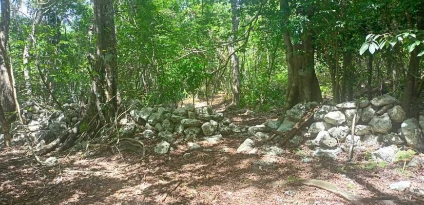 Terreno en venta | CARRETERA A CANCÚN | ENTREGA INMEDIATA