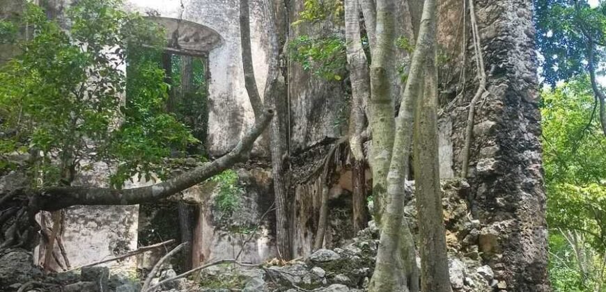 Terreno en venta | CARRETERA A CANCÚN | ENTREGA INMEDIATA