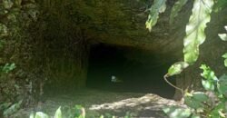 Terreno en venta | CARRETERA A CANCÚN | ENTREGA INMEDIATA