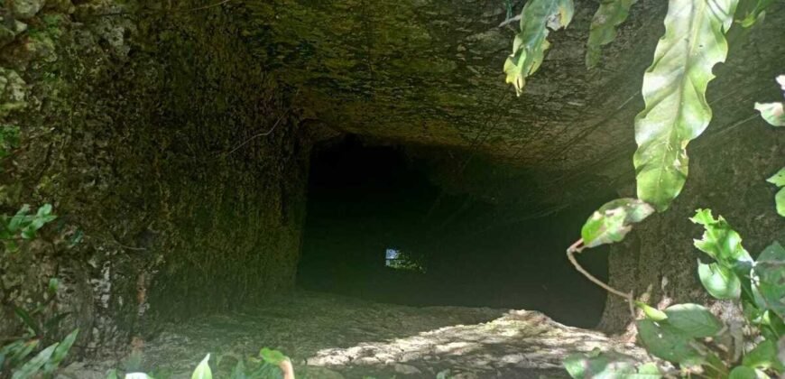 Terreno en venta | CARRETERA A CANCÚN | ENTREGA INMEDIATA