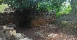 Terreno en venta | CARRETERA A CANCÚN | ENTREGA INMEDIATA