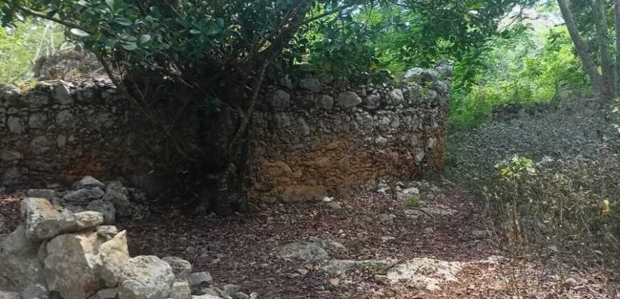 Terreno en venta | CARRETERA A CANCÚN | ENTREGA INMEDIATA