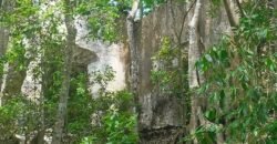 Terreno en venta | CARRETERA A CANCÚN | ENTREGA INMEDIATA