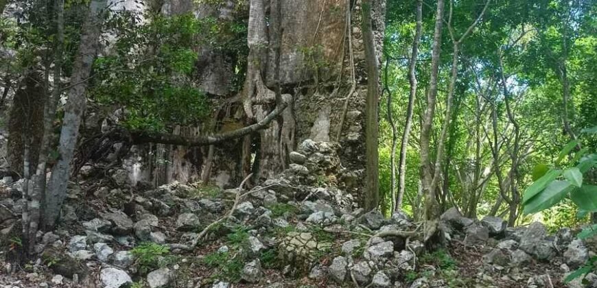 Terreno en venta | CARRETERA A CANCÚN | ENTREGA INMEDIATA