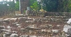 Terreno en venta | CARRETERA A CANCÚN | ENTREGA INMEDIATA