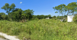 Macro Lote en venta en CIUDAD CAUCEL | ENTREGA INMEDIATA