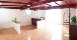 «DEPARTAMENTO EN CENTRO HISTORICO PUEBLA EN RACCIONAMIENTO PRIVADO»