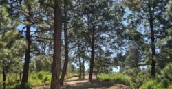 TERRENOS RÚSTICOS EN TAPALPA JALISCO