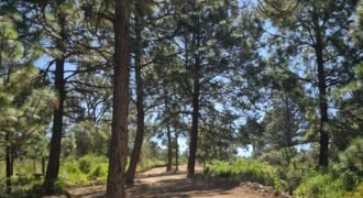 TERRENOS RÚSTICOS EN TAPALPA JALISCO