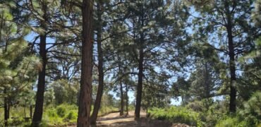 TERRENOS RÚSTICOS EN TAPALPA JALISCO