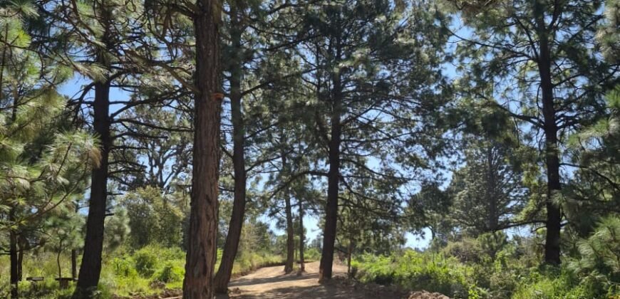 TERRENOS RÚSTICOS EN TAPALPA JALISCO