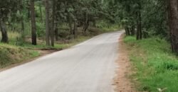 TERRENOS RÚSTICOS EN TAPALPA JALISCO