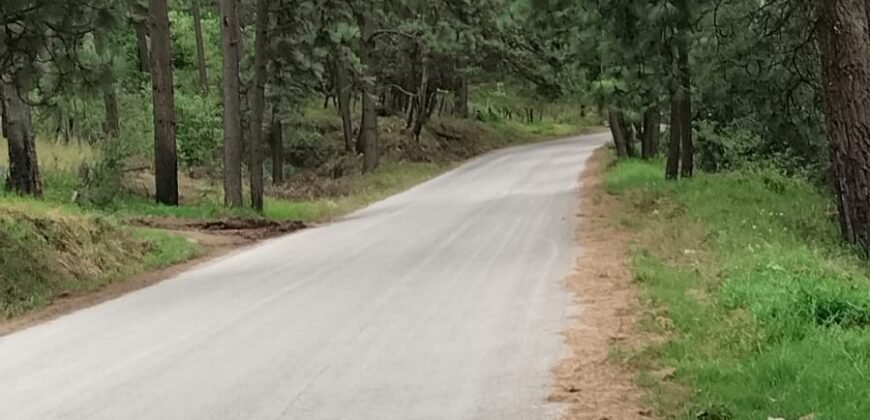 TERRENOS RÚSTICOS EN TAPALPA JALISCO