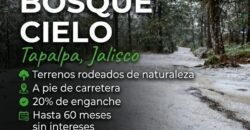 TERRENOS RÚSTICOS EN TAPALPA JALISCO