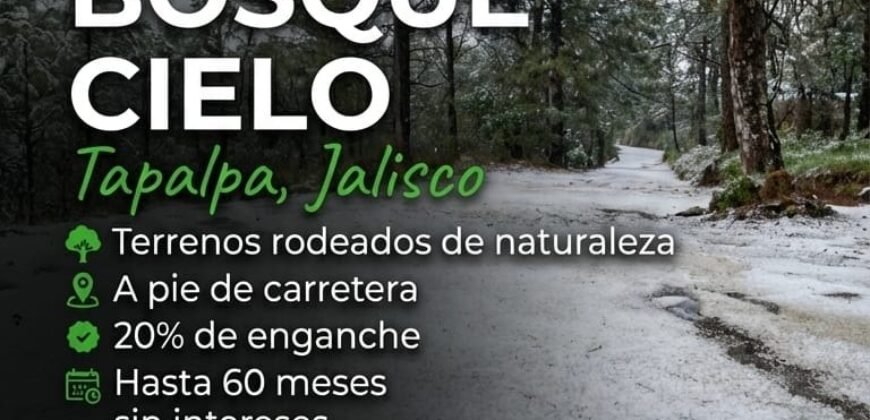 TERRENOS RÚSTICOS EN TAPALPA JALISCO