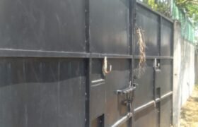 TERRENO EN RENTA TEMIXCO MORELOS