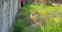 TERRENO EN RENTA TEMIXCO MORELOS