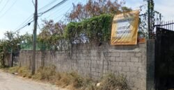 TERRENO EN RENTA TEMIXCO MORELOS