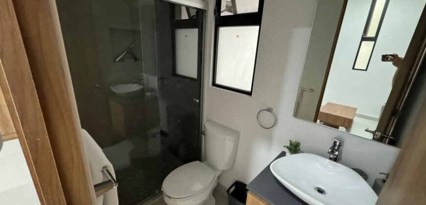 RENTA AMUEBLADO: EJECUTIVOS, DEPARTAMENTO AL NORTE DE LA CIUDAD