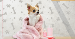 VENTA DEPARTAMENTO BONDOJITO GUSTAVO A MADERO