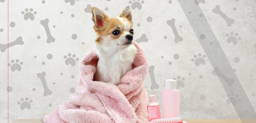 VENTA DEPARTAMENTO BONDOJITO GUSTAVO A MADERO