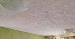 Vendo departamento Segundo Nivel en Misiones de San Francisco Secc 9 (Oxxo del Maguey) Vigilancia 24 horas.