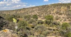 Venta de Rancho en Lagos de Moreno Jalisco