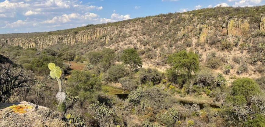 Venta de Rancho en Lagos de Moreno Jalisco