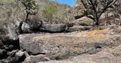 Venta de Rancho en Lagos de Moreno Jalisco