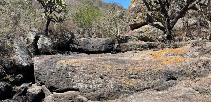 Venta de Rancho en Lagos de Moreno Jalisco