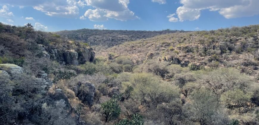 Venta de Rancho en Lagos de Moreno Jalisco
