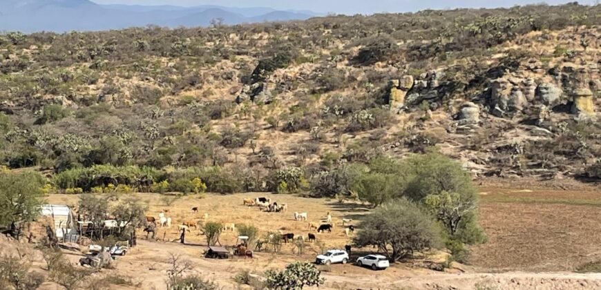 Venta de Rancho en Lagos de Moreno Jalisco