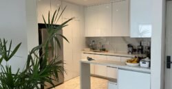 HERMOSO DEPARTAMENTO ICON BEYOND